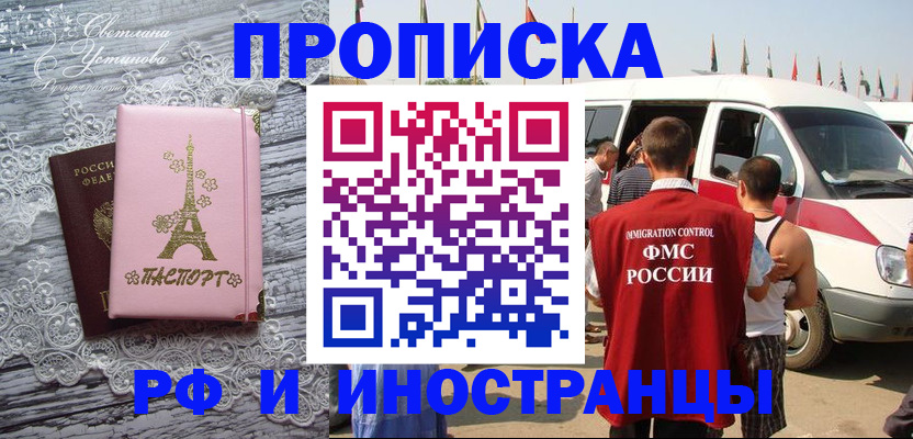 прописка поиск в Торопеце